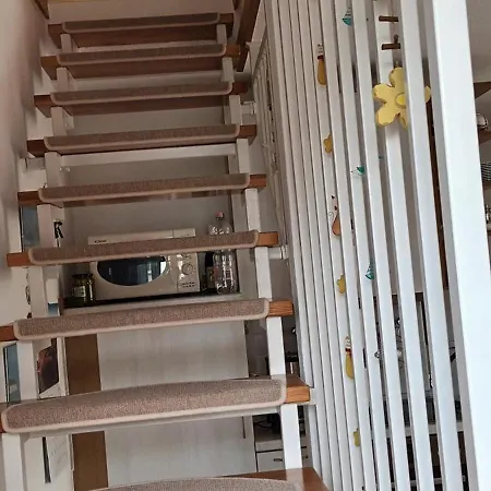 Haus Seeschwalbe 6 Zingst